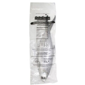 Milkfish Whole 600-800gr