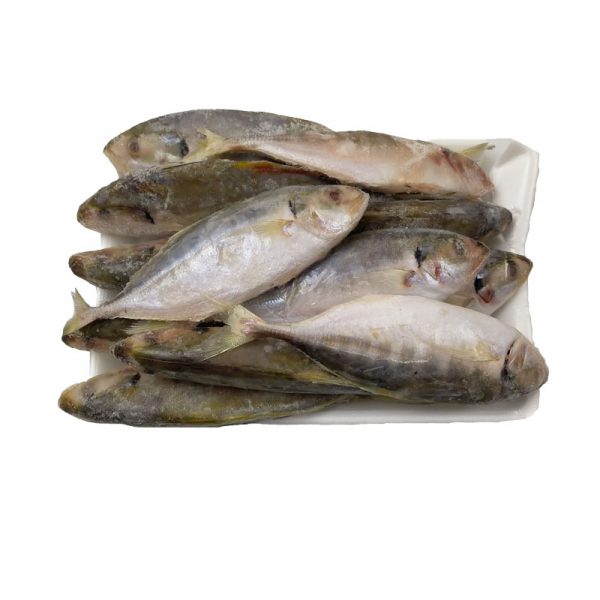 Yellow Tail Scad 10-12 pcs1000gr - Image 2