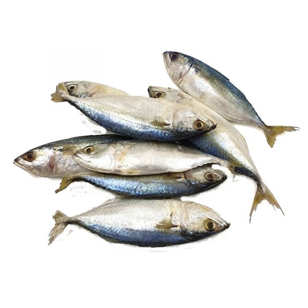 Indian Mackerel /Alumahan 10+ Pcs 1 Kg - Image 2