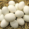 Cooked Balut Duck Egg