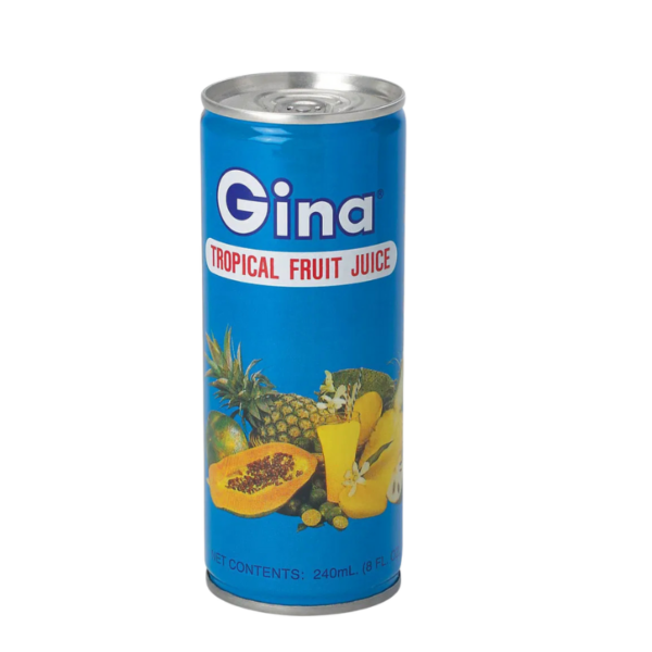 Gina Tropical Fruit Juice 240 ml