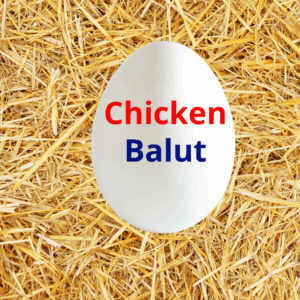 Chicken Balut  Uncooked